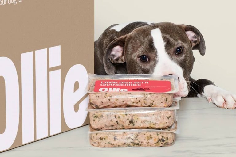 Myollie’s All-Natural Dog Food