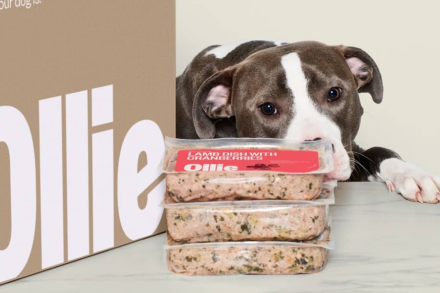 Myollie's All-Natural Dog Food